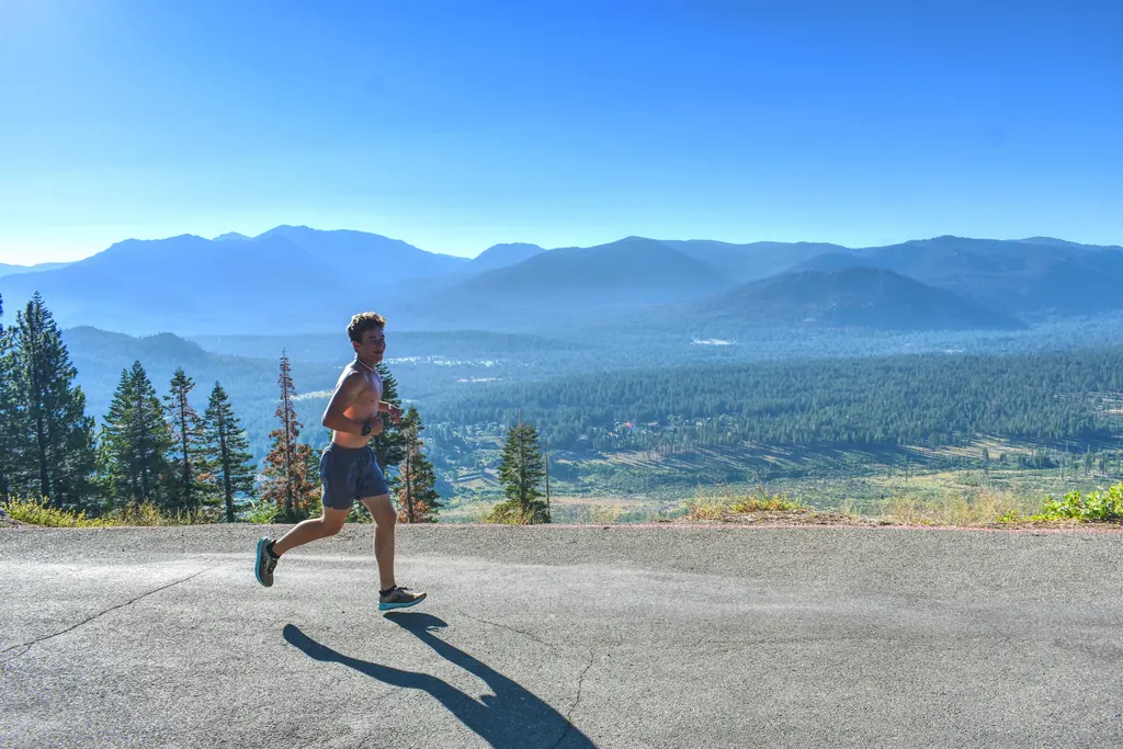Runner on a mountain road lined with pine trees